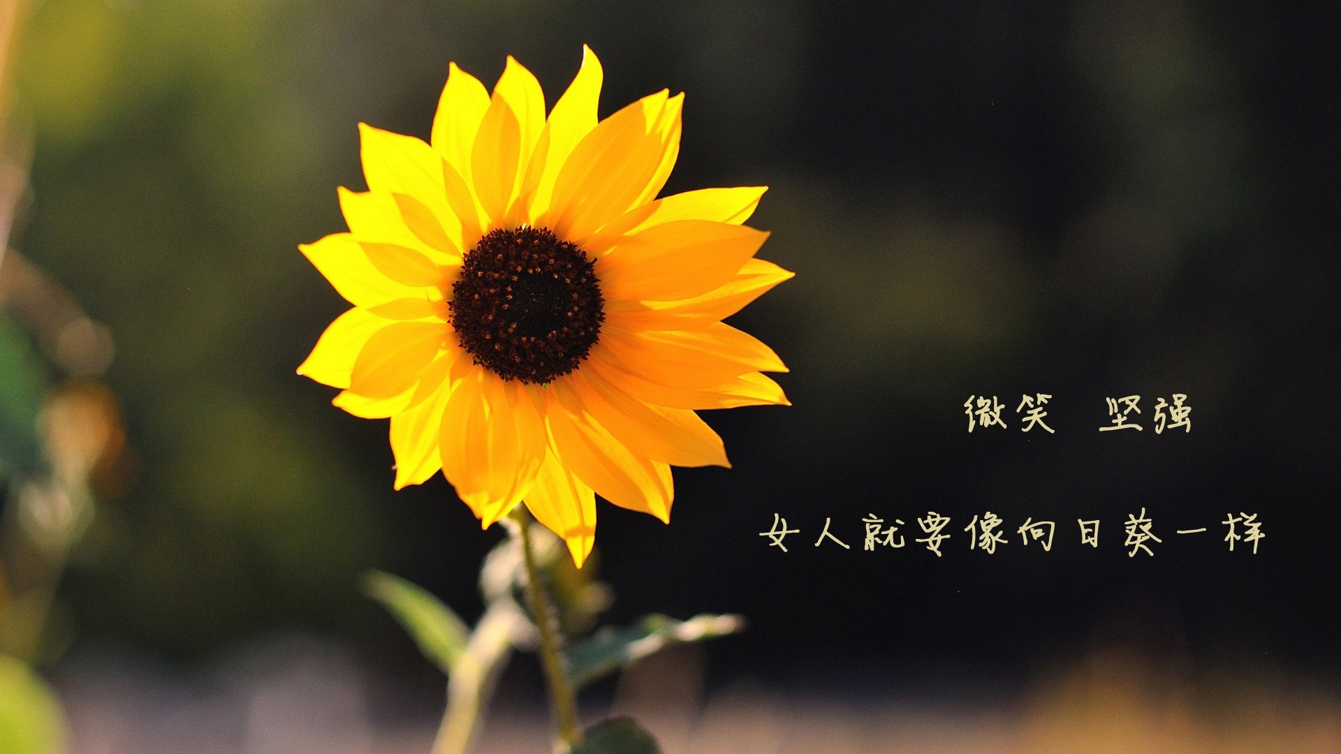 “千钧一发!终场前逆转大戏,观众掌声雷动”,千钧一发 台词